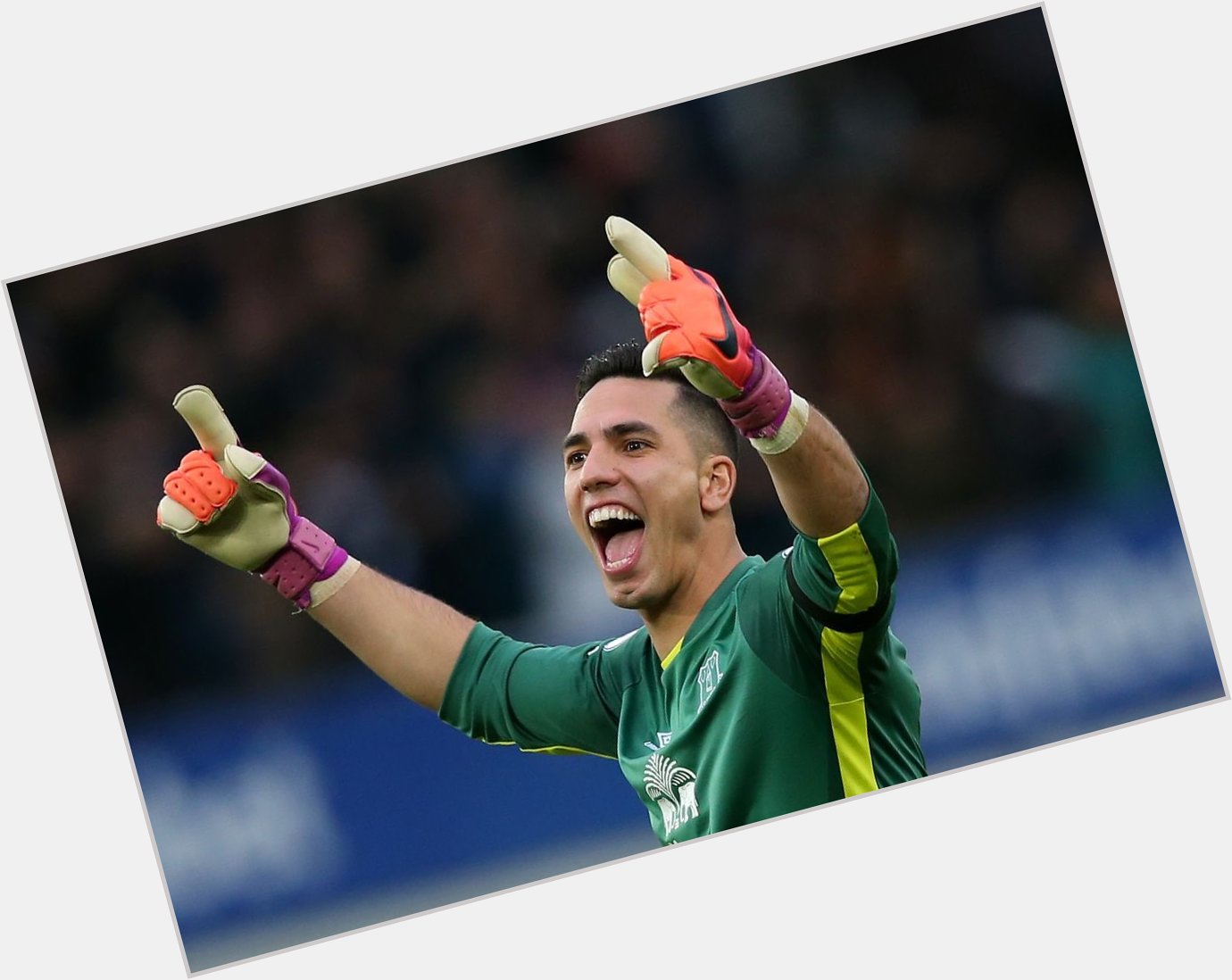 Happy 28th Birthday to Former Everton goalkeeper Joel Robles   