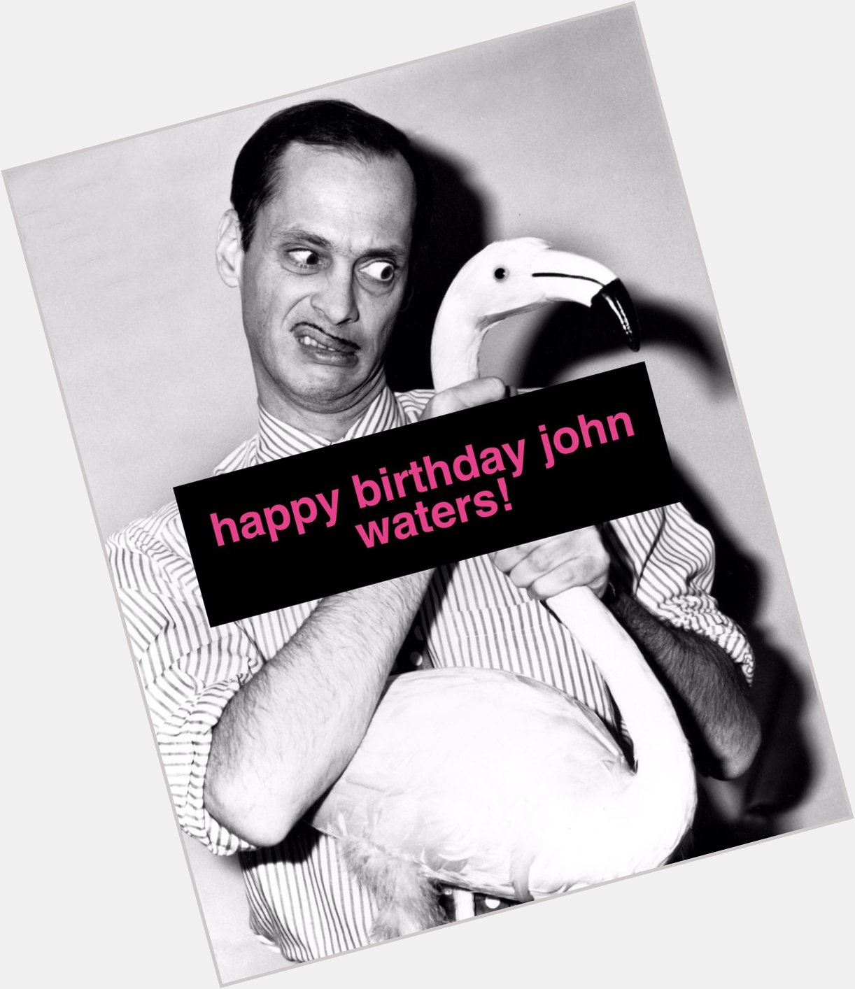\"Contemporary art hates you\" Happy Birthday John Waters! 