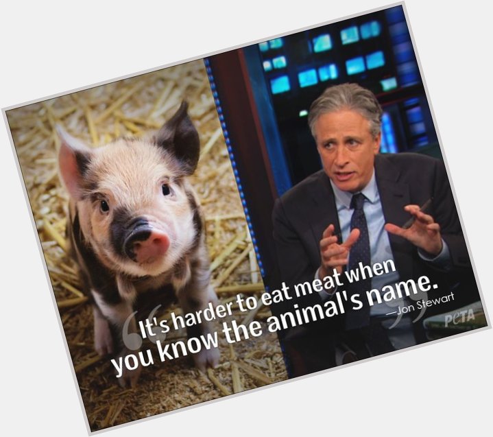 Wishing new fellow vegetarian Jon Stewart a very HAPPY BIRTHDAY today:   