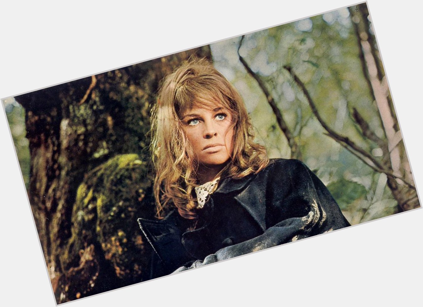 Happy Birthday to me and to Julie Christie, we are essentially the same. 
