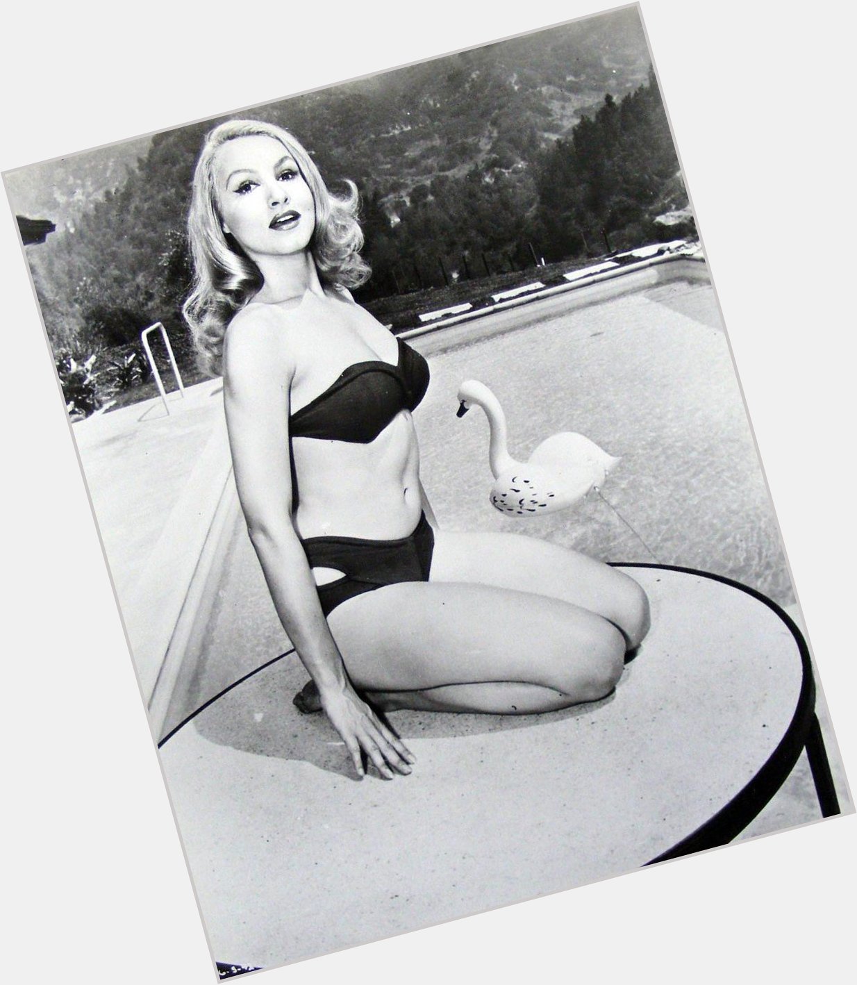 Publicity photo of Julie Newmar for THE MARRIAGE-GO-ROUND   1961.  Happy birthday Miss Newmar. 