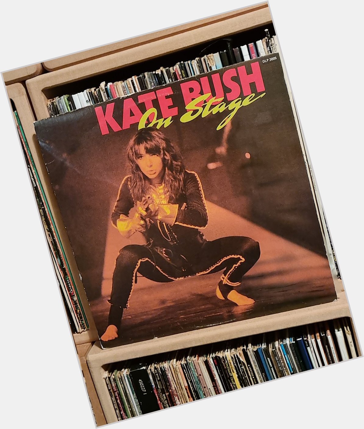 A last happy birthday shout out to Kate Bush. I saw her on this tour. Comrades, Kate was awesome 