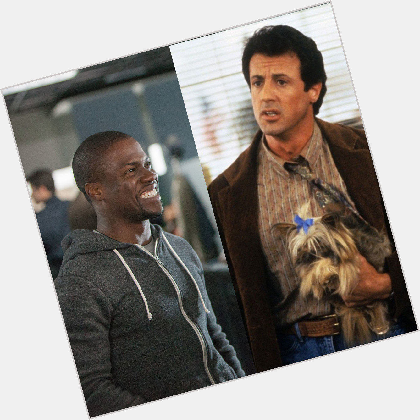 Happy Birthday to Kevin Hart and Sylvester Stallone! 