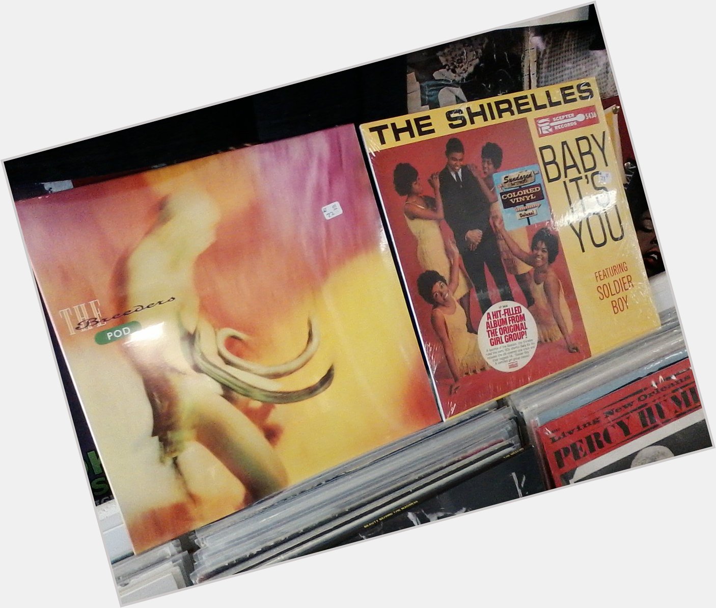 Happy Birthday to Kim Deal of the Breeders & Shirley Owens of the Shirelles 