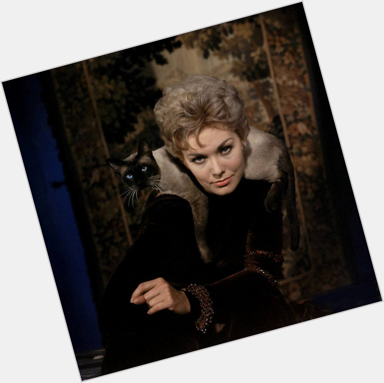 Happy Birthday to Kim Novak, star of one of my favorite comedies, BELL, BOOK AND CANDLE. 