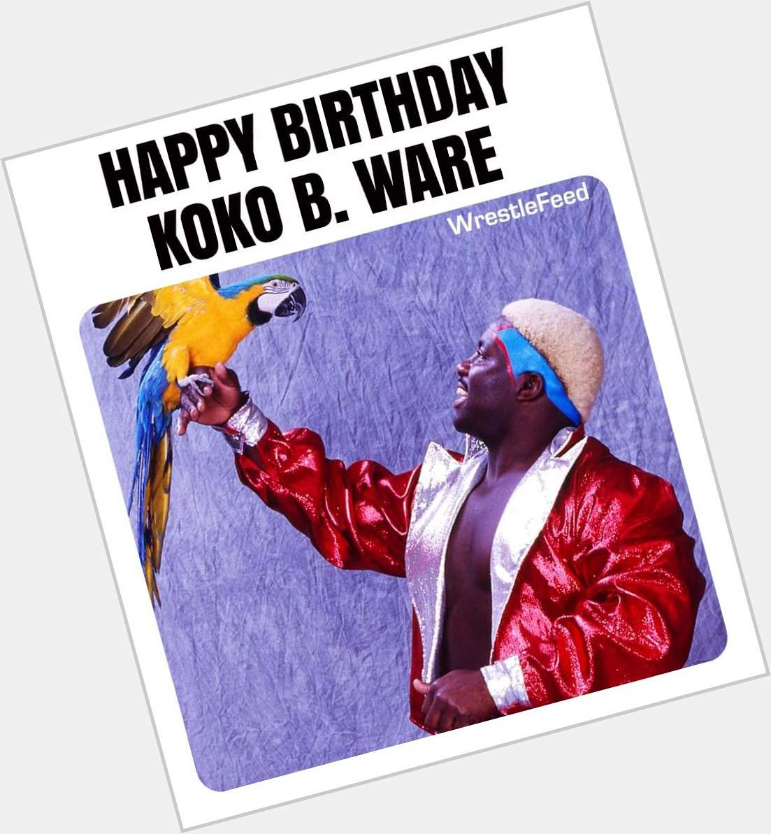WWF Veteran \"The Birdman\" Koko B. Ware celebrates his 64th birthday today. HAPPY BIRTHDAY    