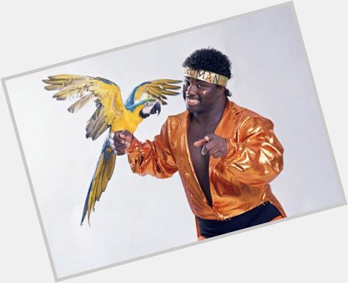Happy Birthday to the one and only Koko B. Ware today! 