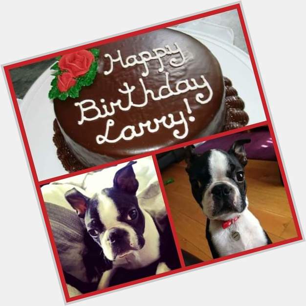  Happy 8th Birthday Larry Bird Kelly!!! 