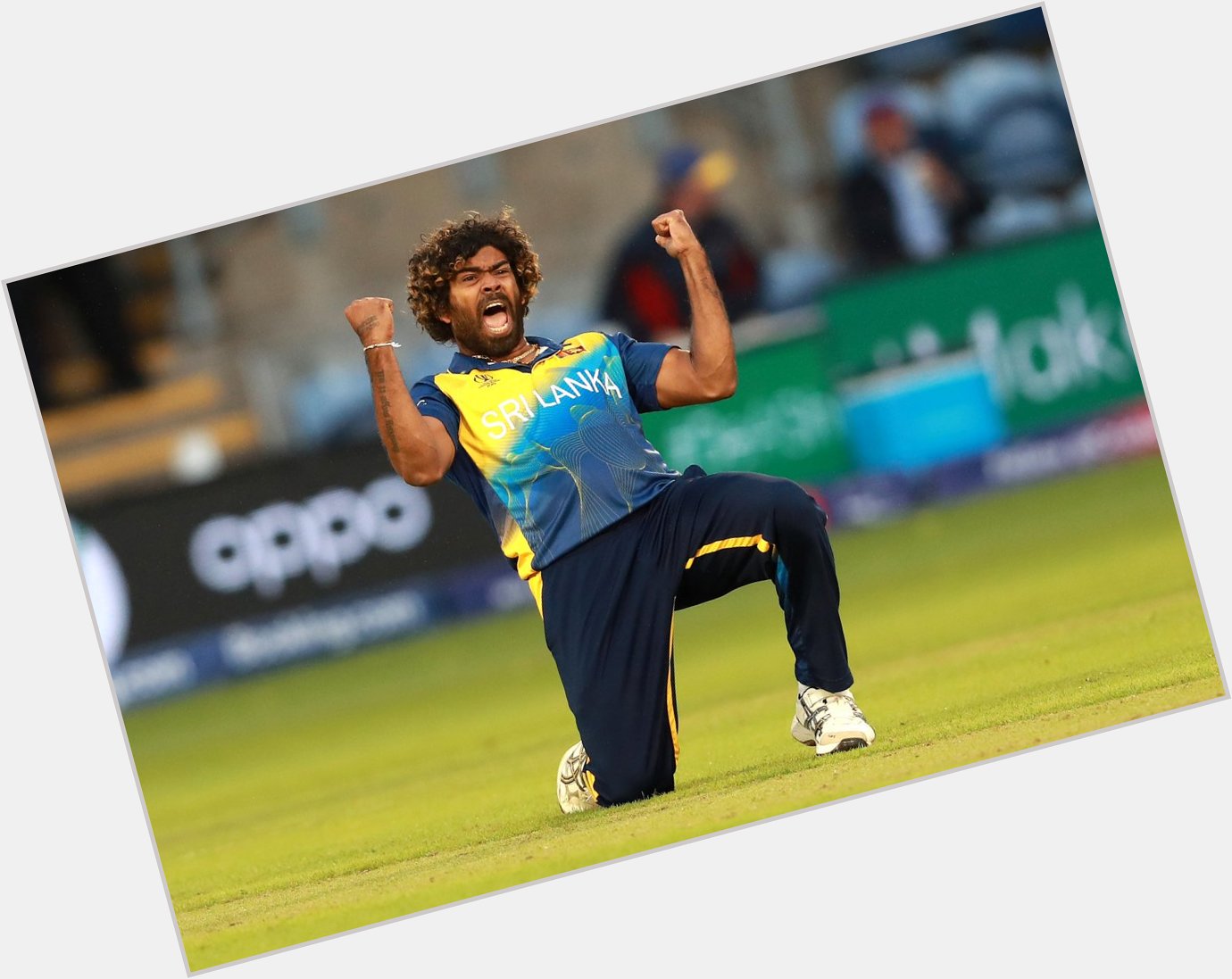 Happy birthday, Lasith Malinga Wishing you a year filled with happiness and good health. 