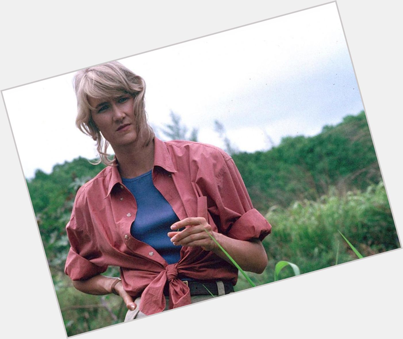 Happy Laura Dern\s Birthday to all who celebrate!!!

(And if you don\t celebrate, get wreckt   ) 