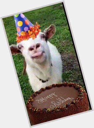 It s birthday today! Let\s all wish her a big \Happy Birthday\, with lots of onesies and goats! 