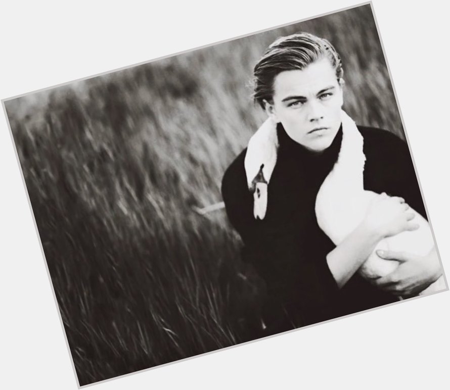 It s Leonardo DiCaprio s birthday!

Here he is giving a swan a little cuddle!

Happy birthday Leo! 