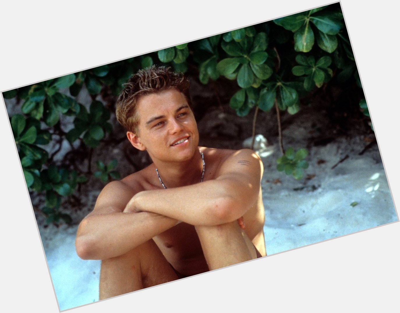 Happy birthday, Leonardo DiCaprio! 