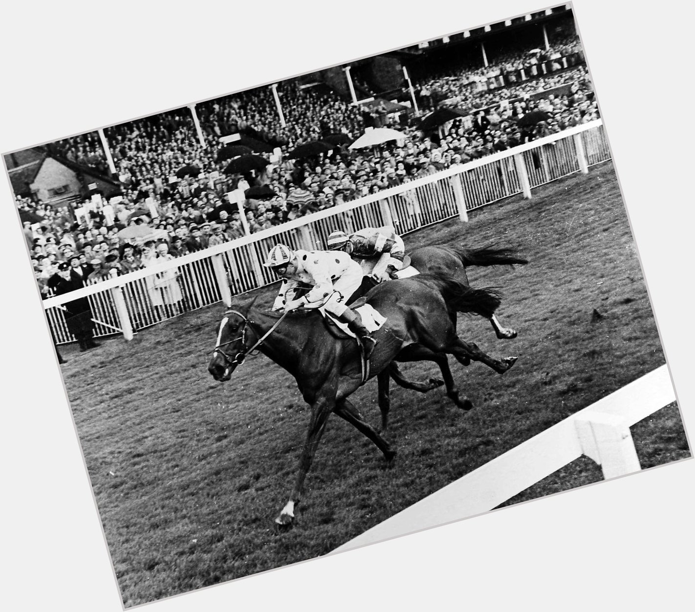 Happy Birthday to Lester Piggott who turned 80 yesterday! Here he is winning in 