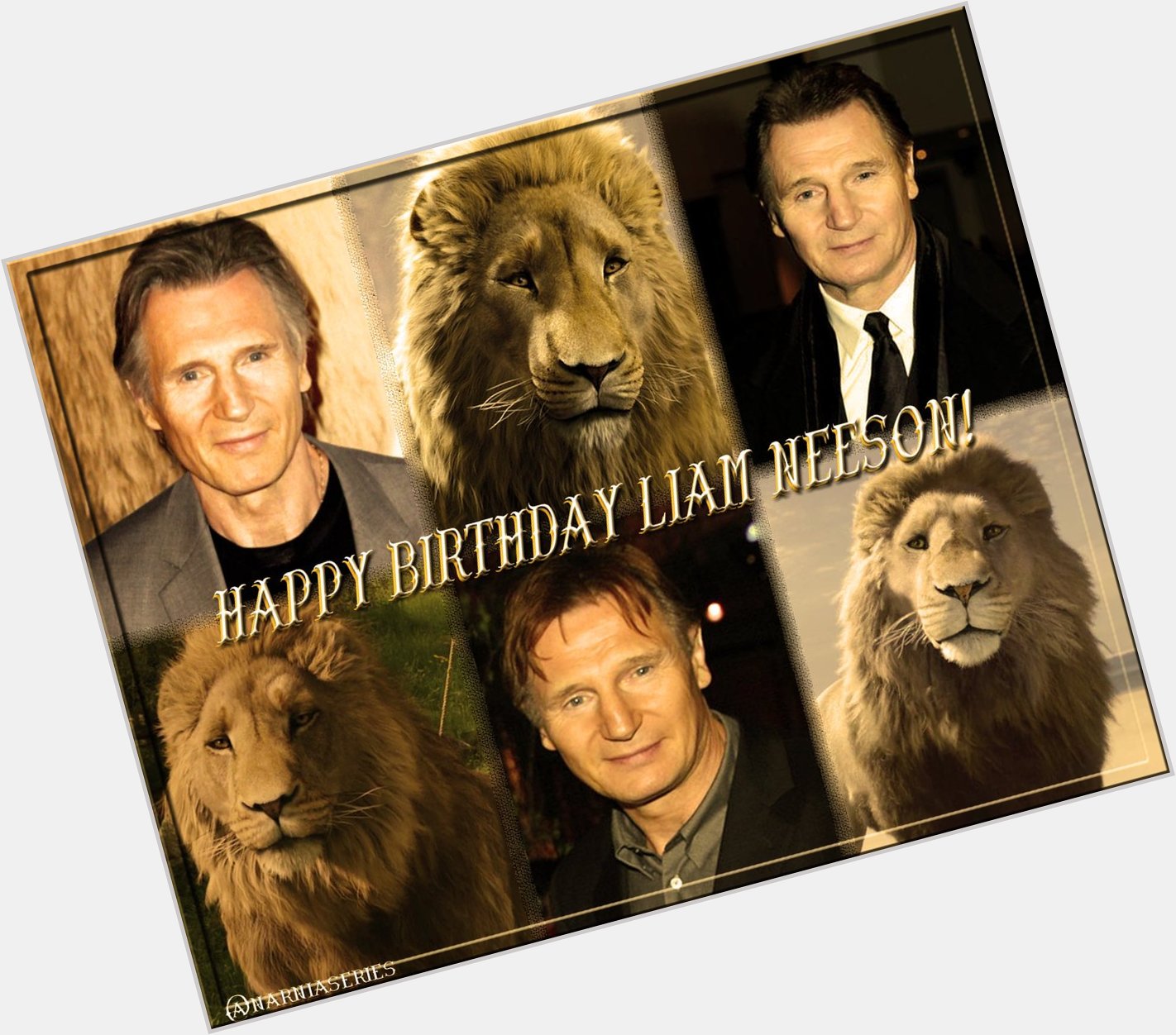 Happy Birthday to our perfect Aslan, the wonderful Liam Neeson!         
