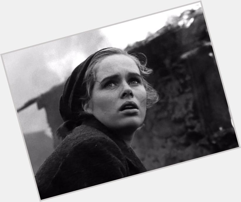 Happy Birthday Liv Ullmann. This is my favorite photo of this stunning woman. 