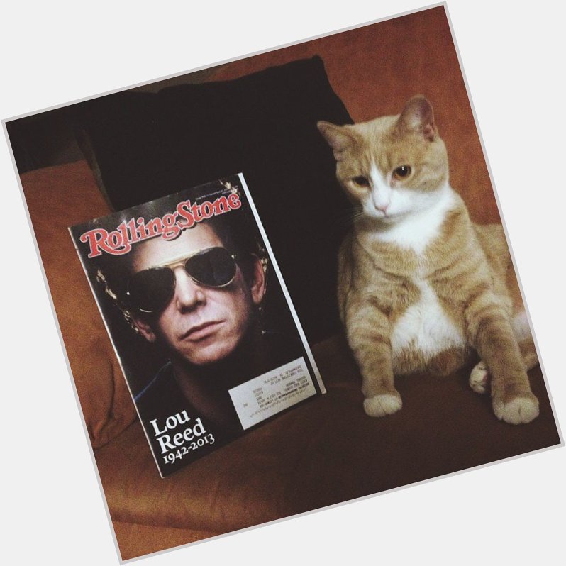 Happy Birthday Lou Reed. My cat is named after you, and he has lived up to expectations 