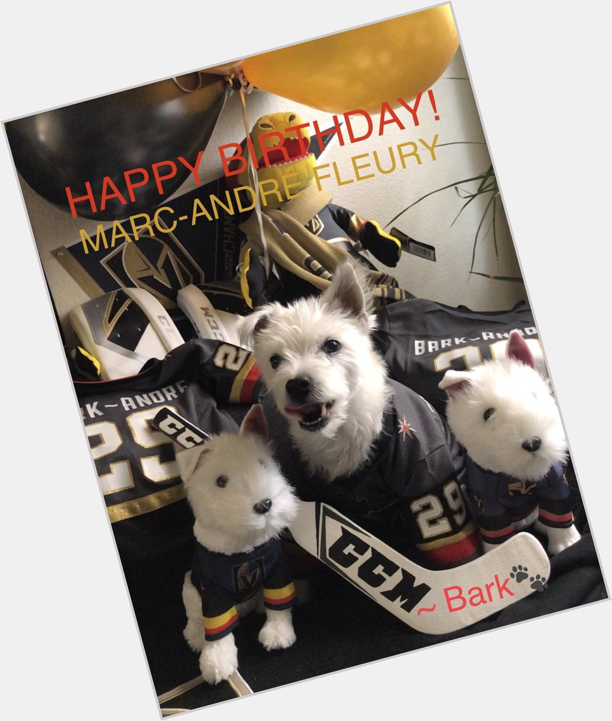 HAPPY BIRTHDAY  MARC-ANDRÉ FLEURY!
~ Bark       