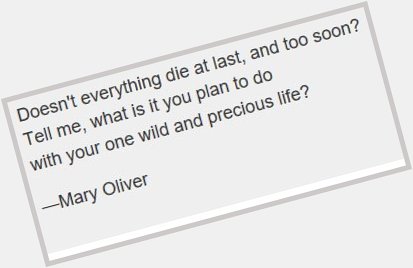 Happy birthday, Mary Oliver. 