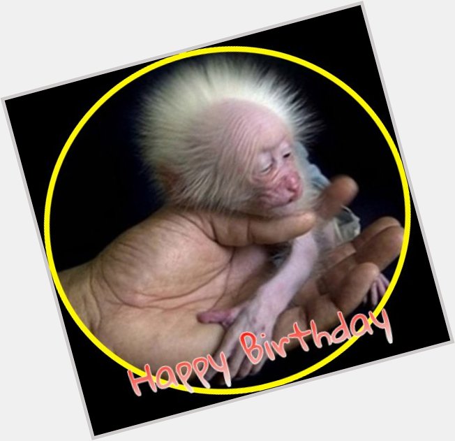 Happy Birthday to Matthew Bates-Scarlett Bowman -Charlie Adam -Mark Applegarth-Lewis Buxton -Iain Brunnschweiler. 