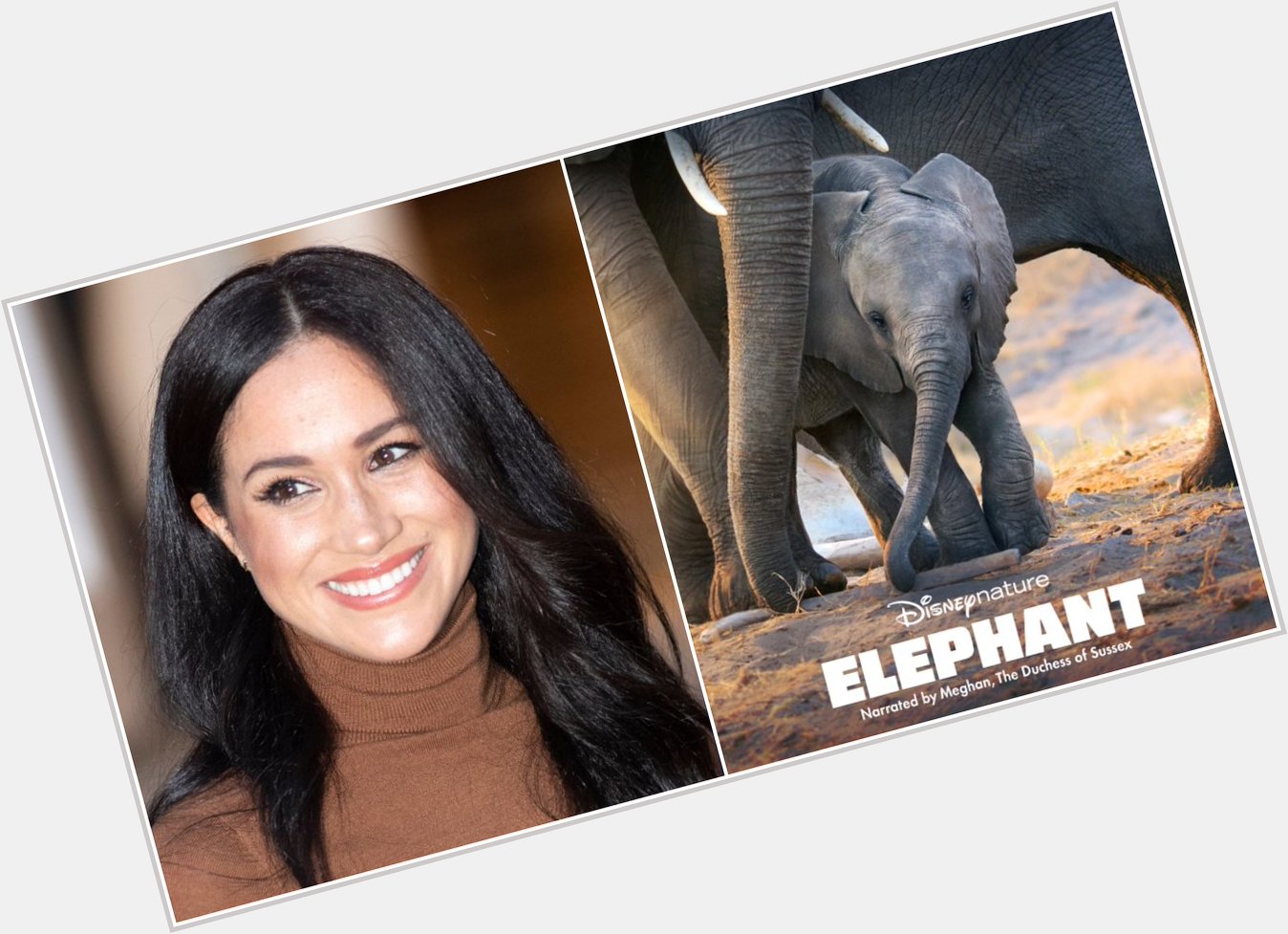 Happy Birthday, Meghan Markle
For Disney, she narrated the documentary Elephant. 