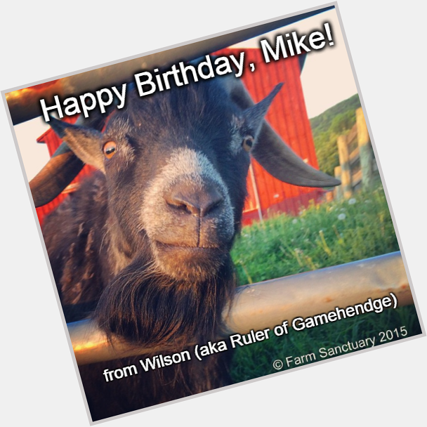 Happy birthday Here\s Wilson goat named for Visit us in during 