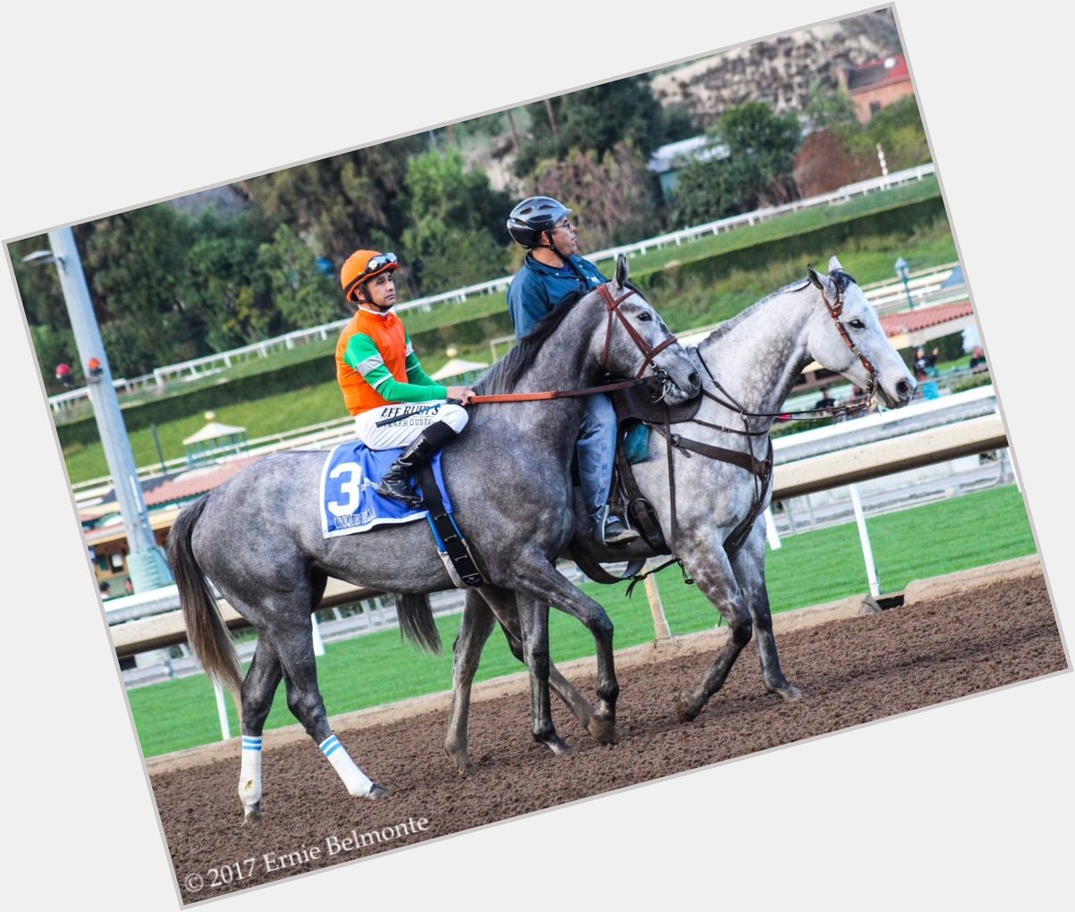 Happy Birthday to Hall of Fame jockey Mike Smith. Here he is on UniqueBella earlier this year before one of her wins 