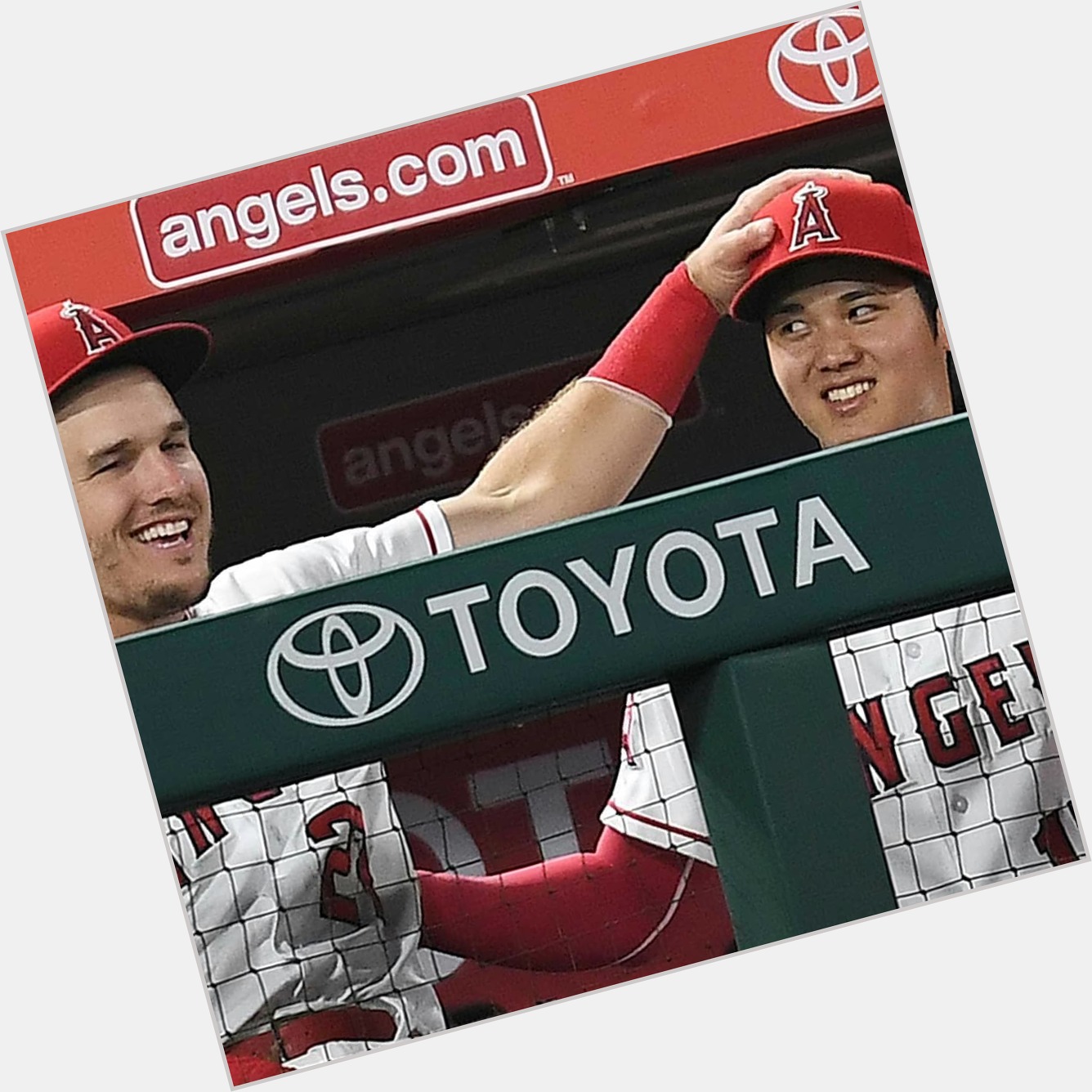 Happy Birthday to Mike Trout! 