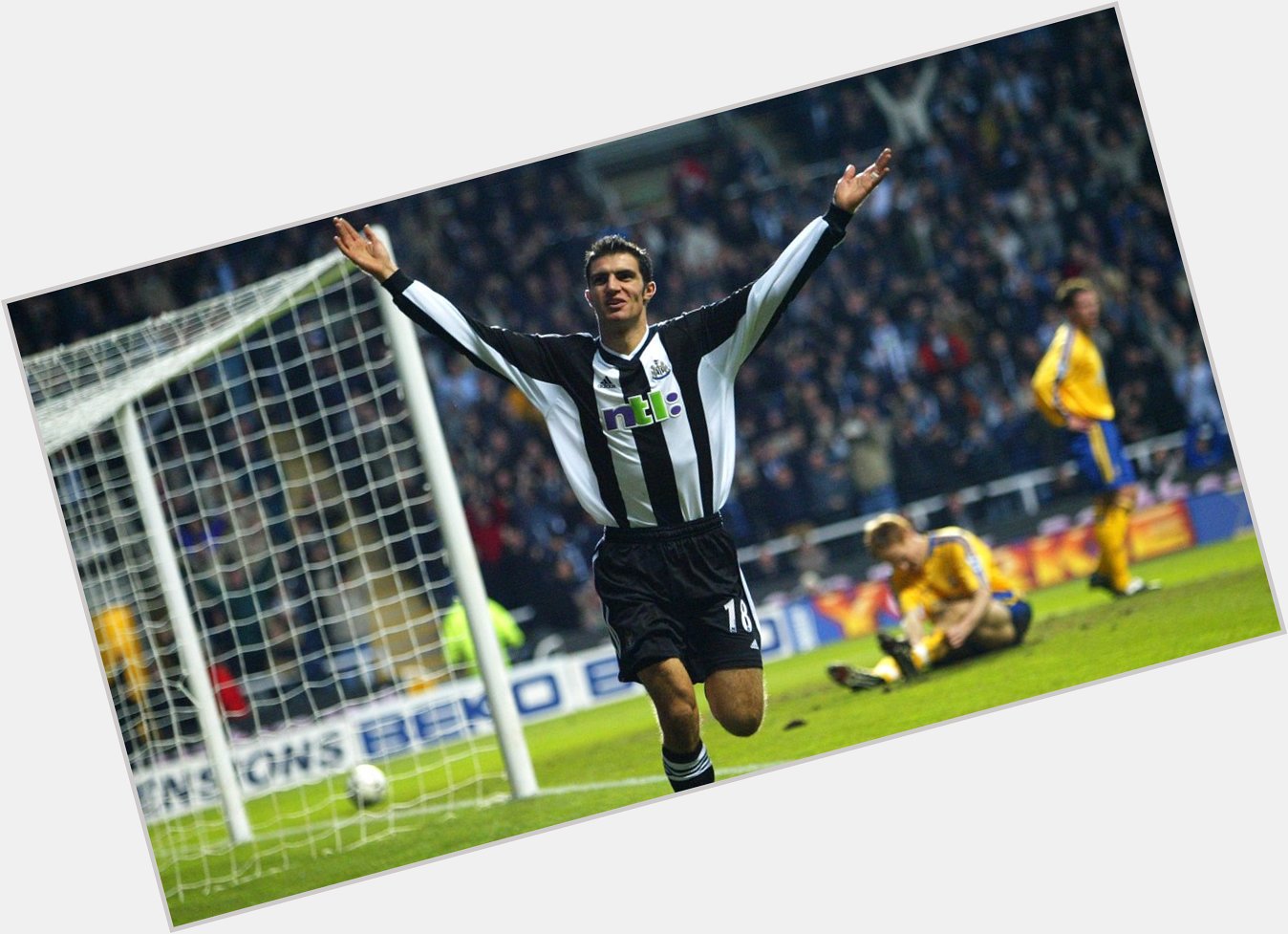 Happy birthday to former Newcastle United defenders and Mike Williamson!    