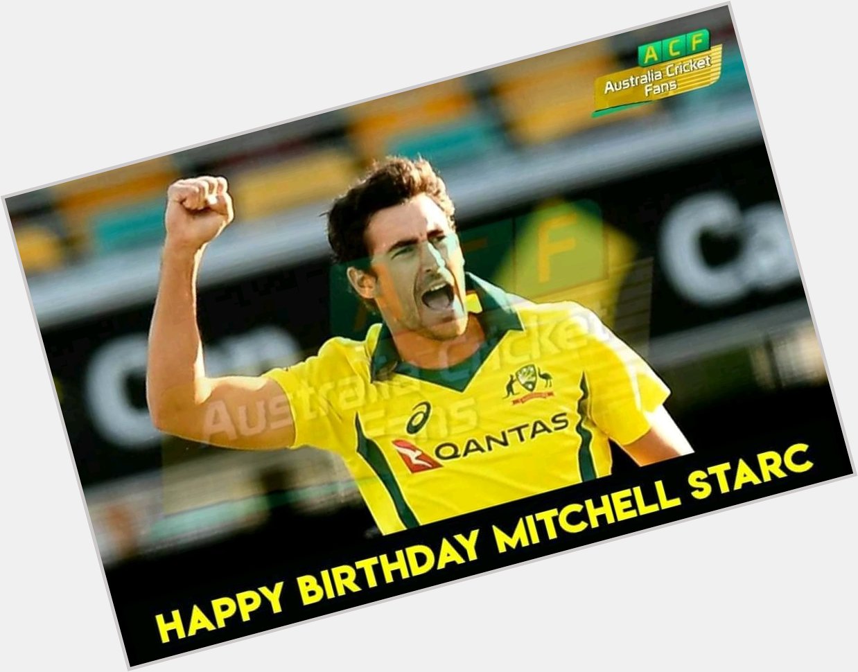 Happy birthday Mitchell Starc   The best and most fearful bowler My favourite bowler 
