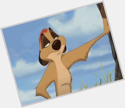 Happy birthday Nathan Lane (Voice of Timon from The Lion King from 1994) 