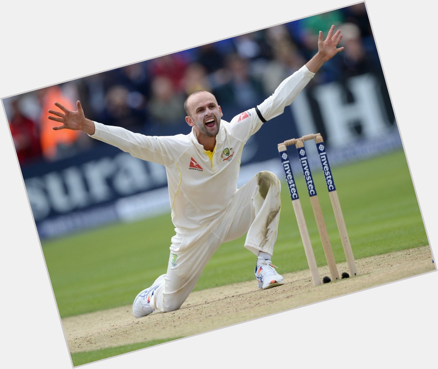 One of the great characters of modern day cricket - Nathan Lyon  Happy birthday to the \goat\   