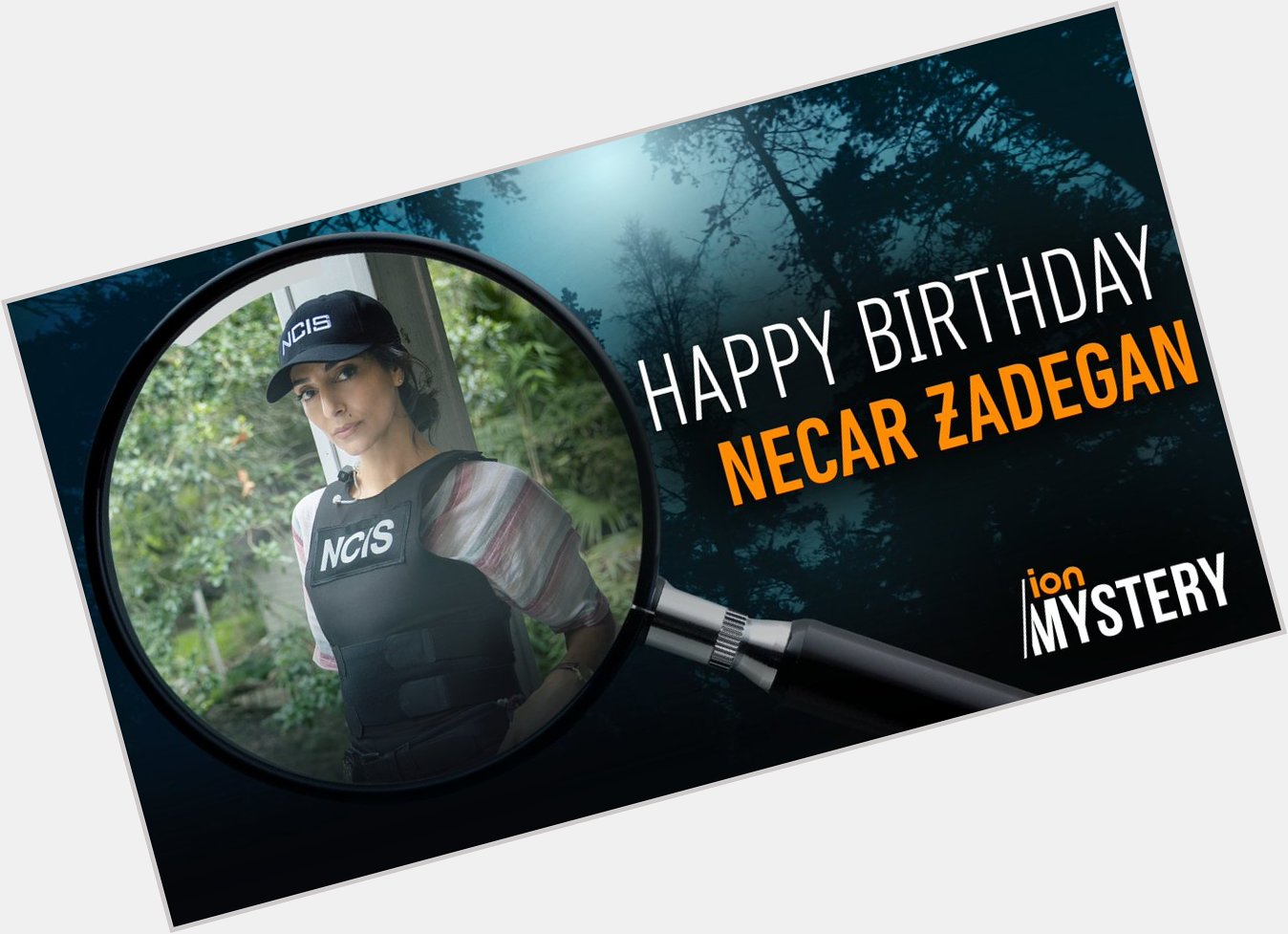 Happy birthday to a true ION Mystery star, Necar Zadegan! 