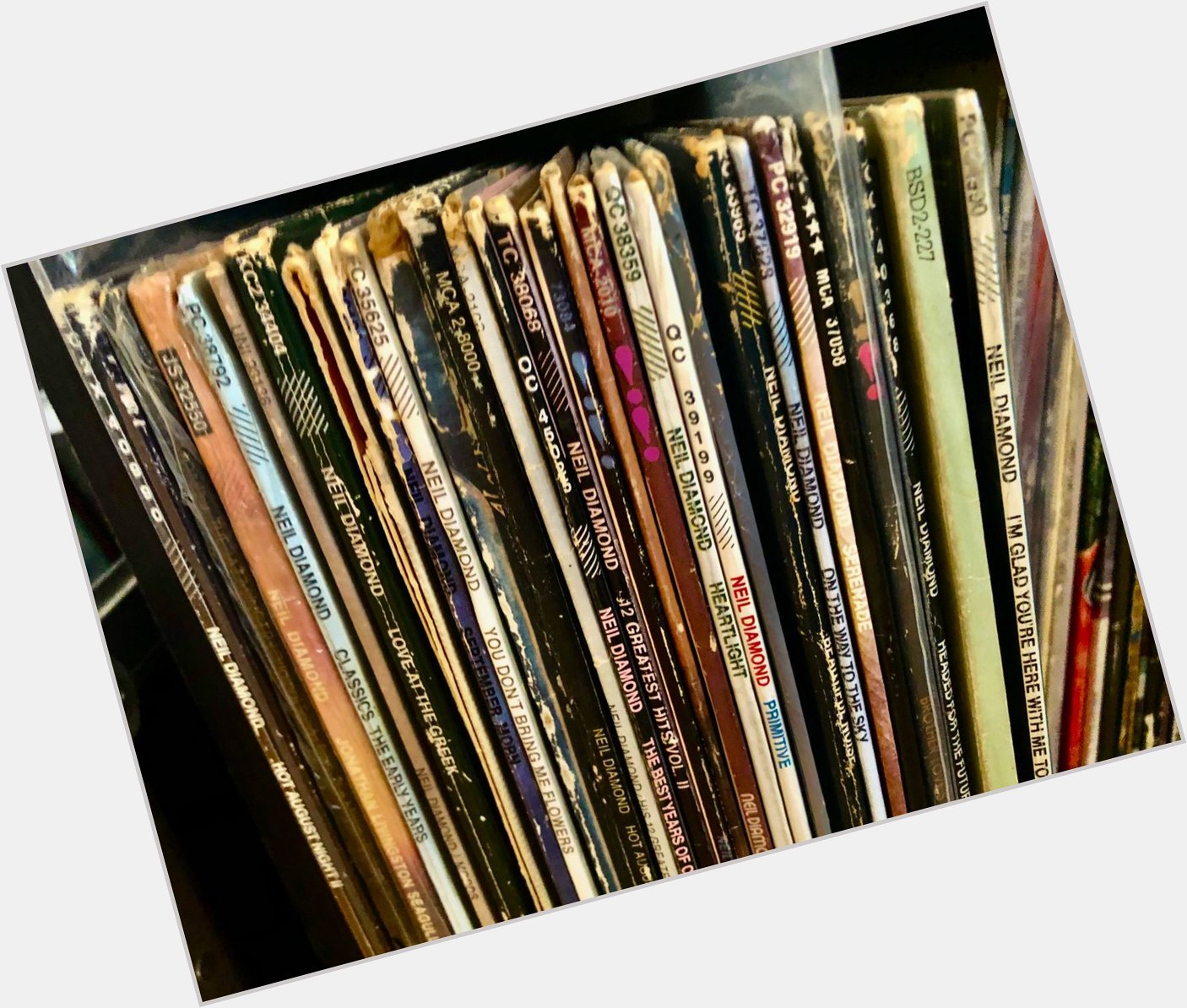 Happy Birthday Neil Diamond! 28 albums in my so far. 