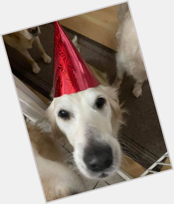 Happy 9th birthday Nelly, rescued from Serbia. 