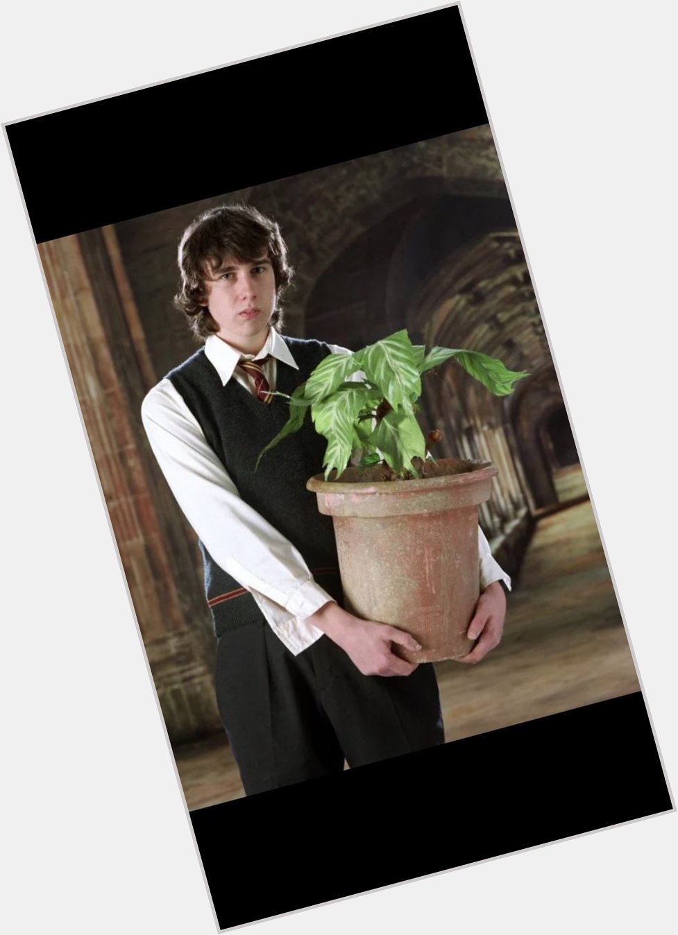 Happy birthday to Neville Longbottom, one of the very first fictional characters I attached myself to 