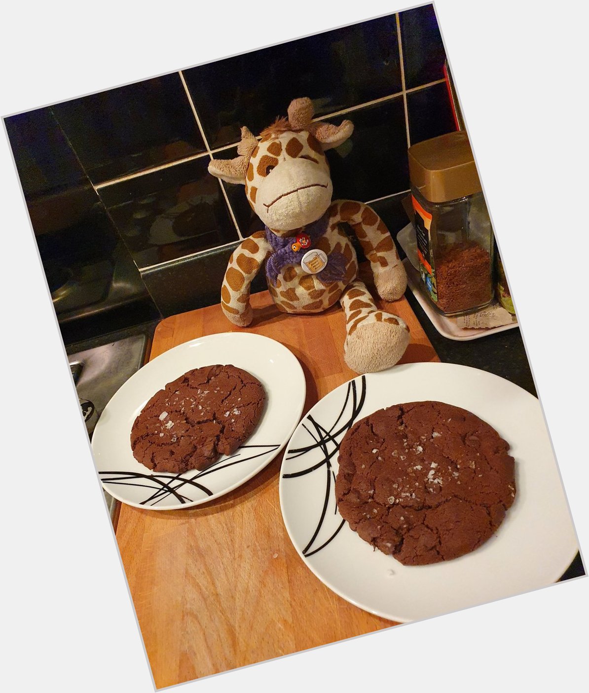 Happy birthday male human. We made these giant cookies from new book to celebrate. 