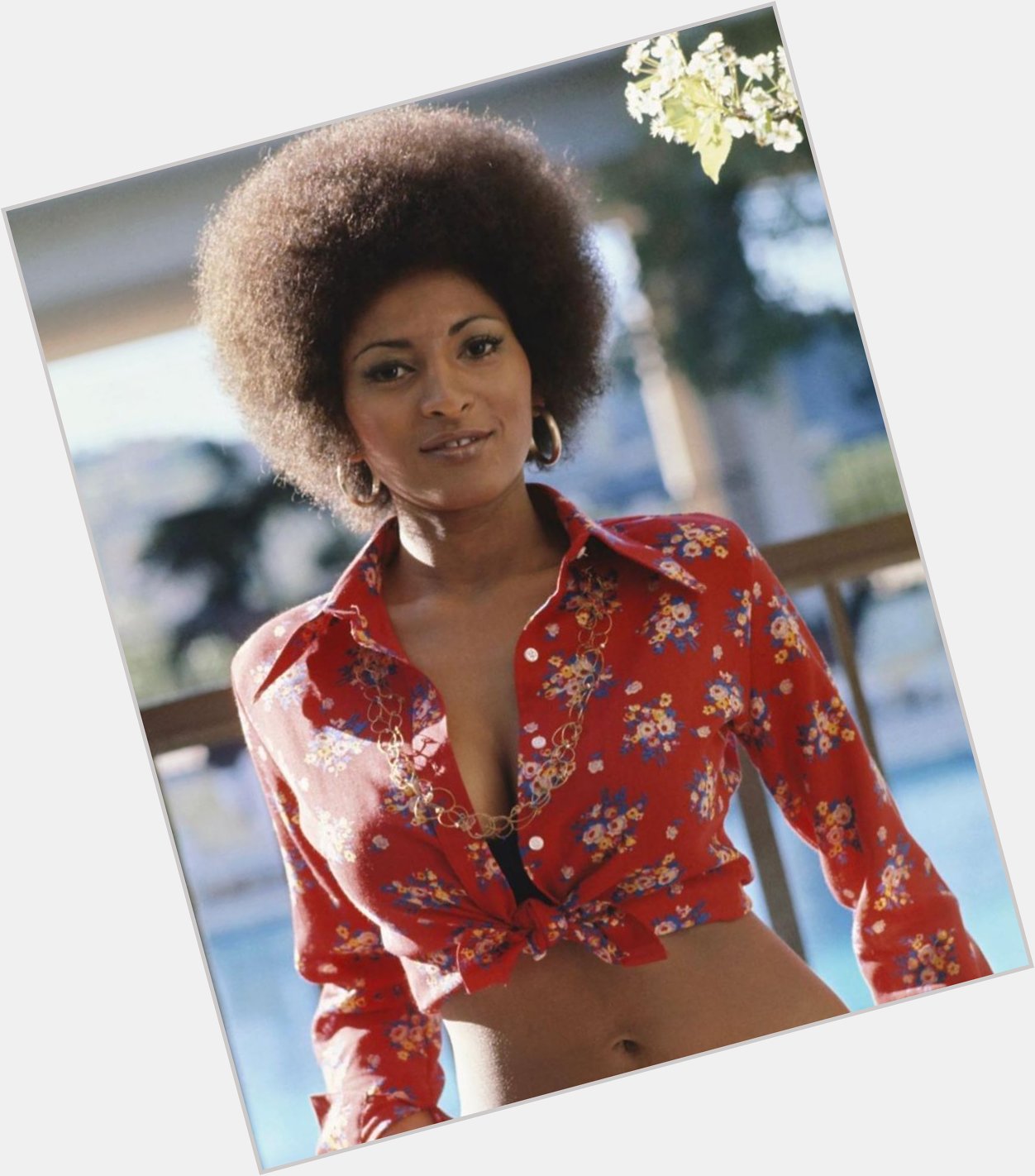 Happy birthday to the beautiful Pam Grier. -
- : Michael Ochs Archive/Getty Images\" 