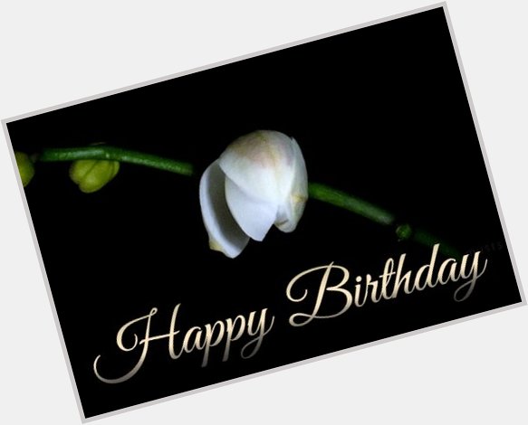 Happy Birthday, Miss. Pam Grier, hold it down...     Enjoy!!! 