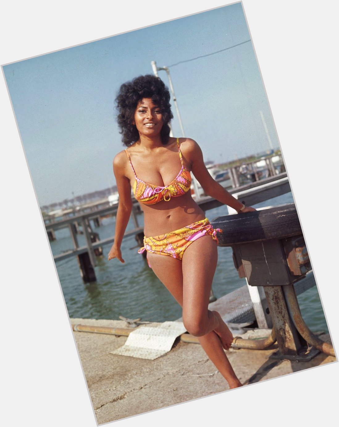 It\s my b day but also happy bday Pam Grier...dear god look at her. 