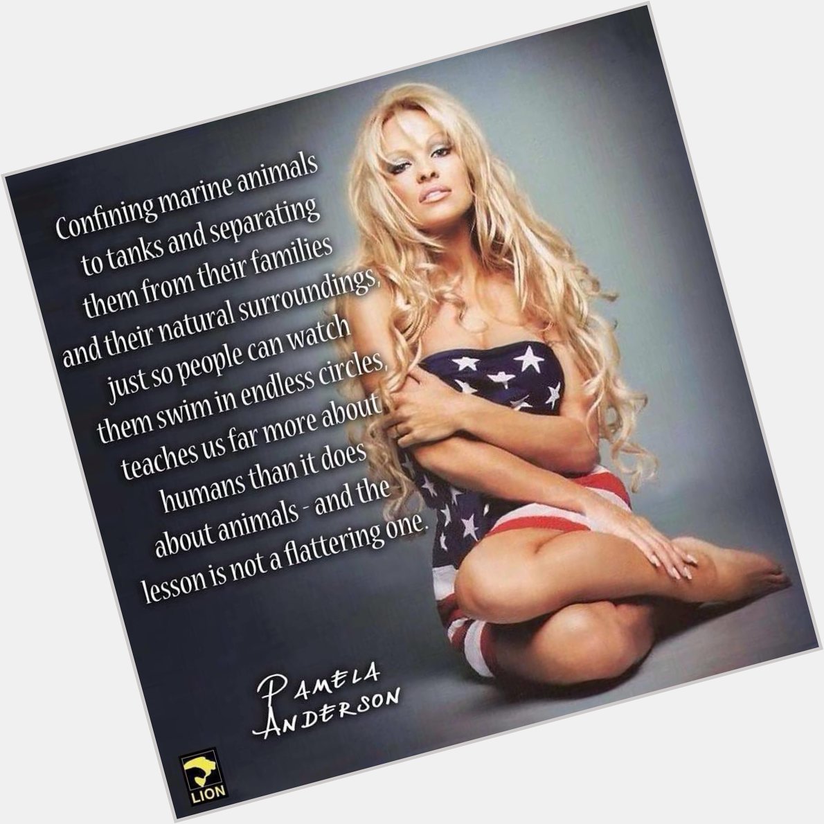 Happy birthday Pamela Anderson 