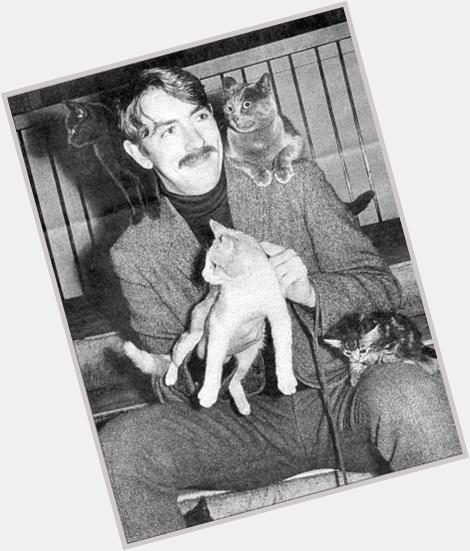 Happy Birthday to one of favourite men of all time.  Peter Cook, seen here with his cats. 