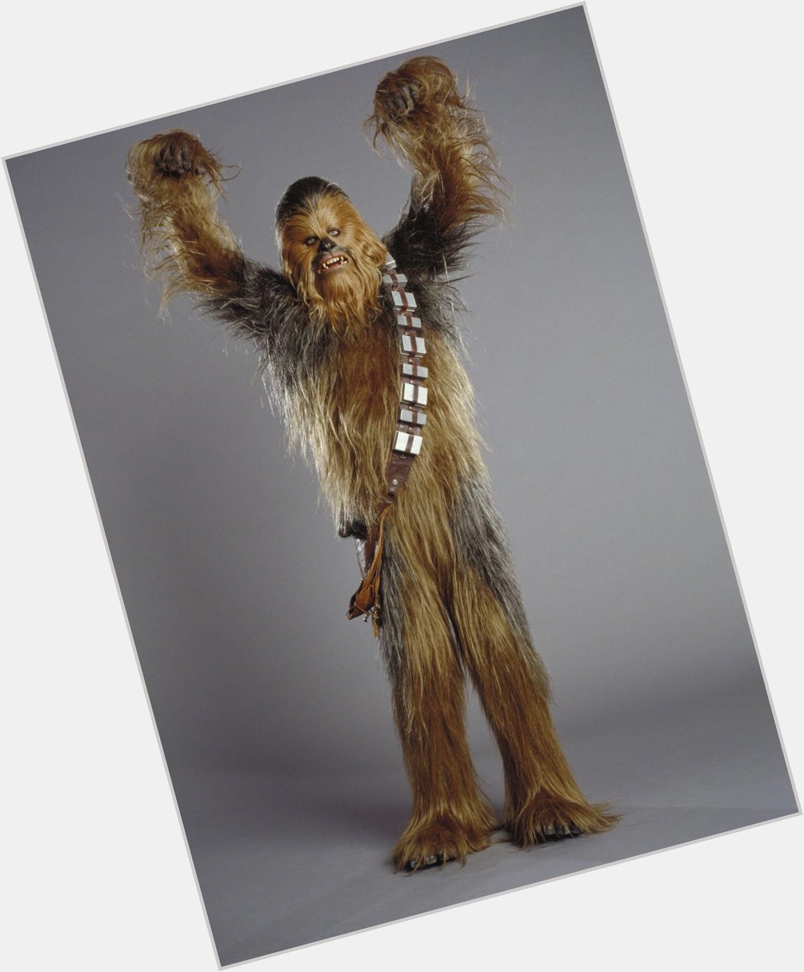 A big Happy Birthday to Peter Mayhew, the man behind the wookie 