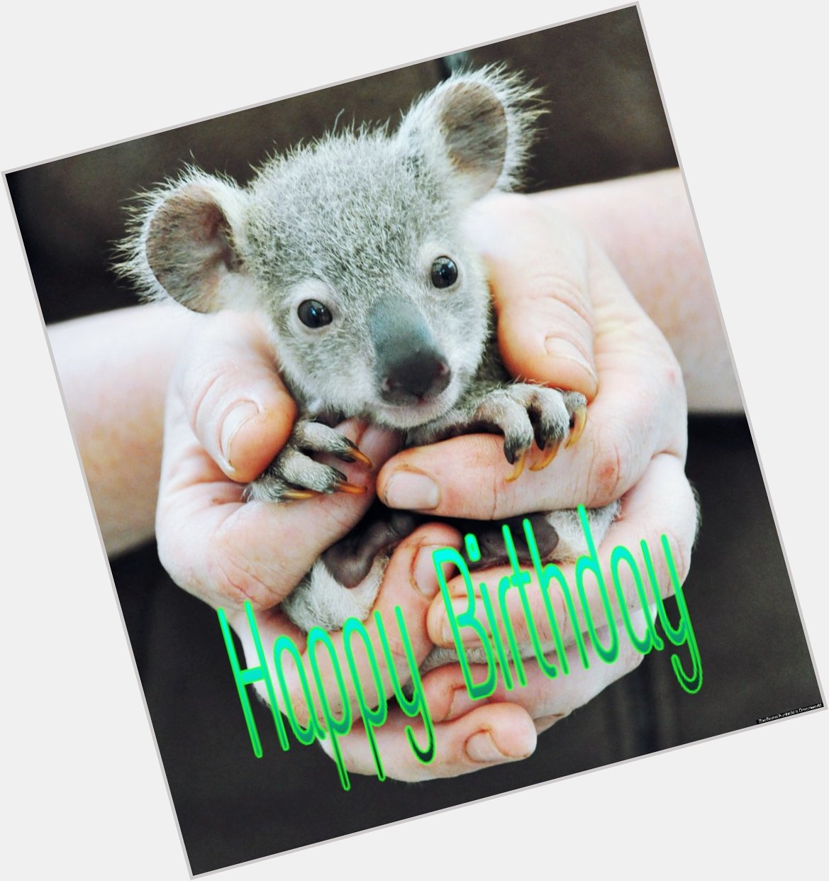 Happy birthday to Katherine Schwarzenegger -Oliver Lancaster -Ryan France -Olav Bjortomt-Peter Stringer-Tupele Dorgu 