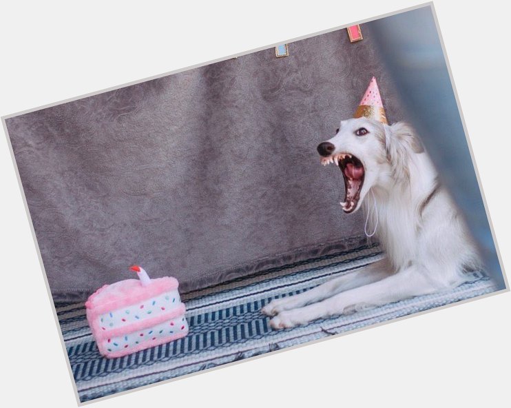  HAPPY BIRTHDAY PRINCE 