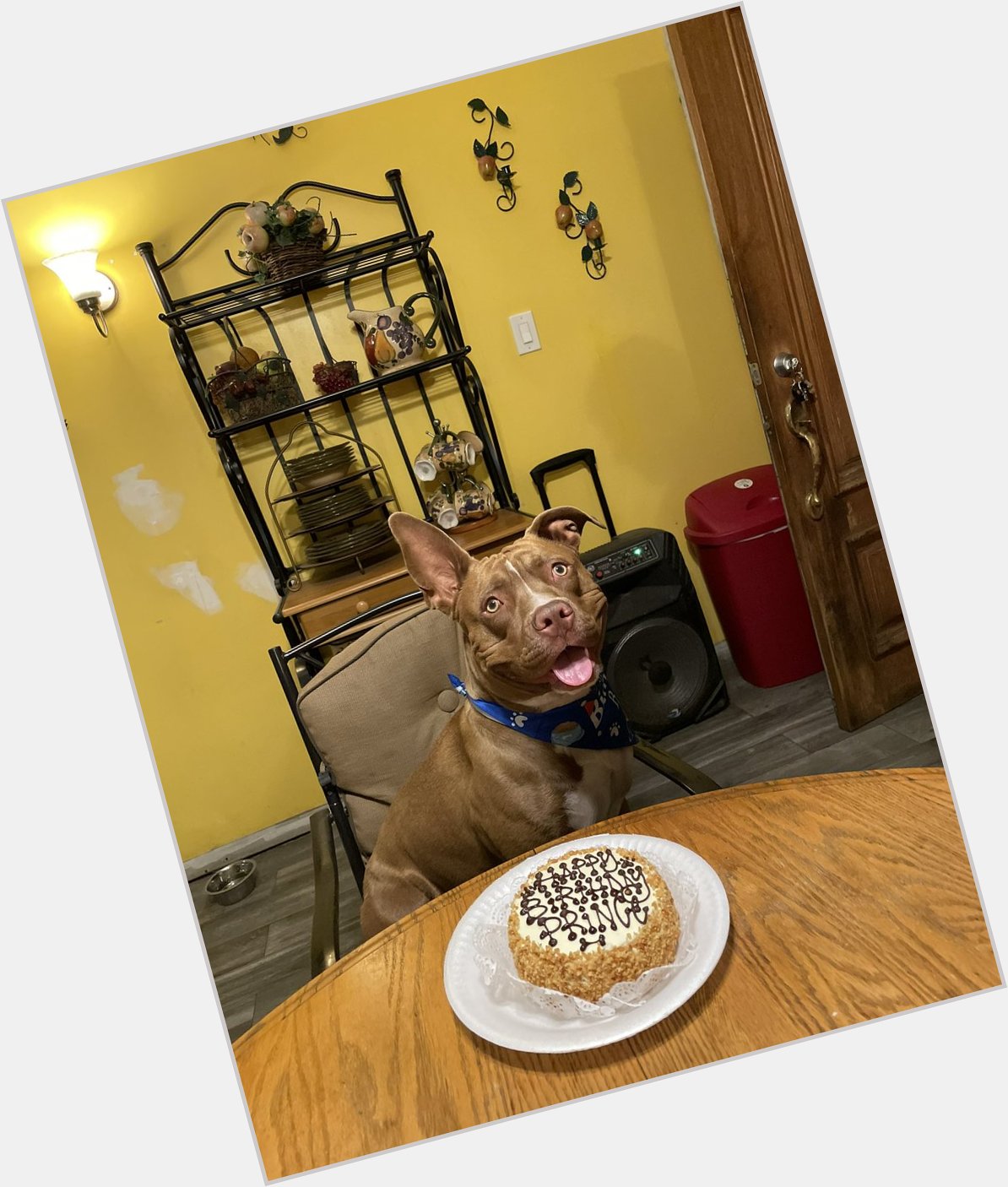 Happy birthday to my son prince! turned 1 today, they grow up so fast  