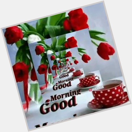   HAPPY BIRTHDAY TOO AND MANY MORE HAPPY RETURNS DEAR ! 