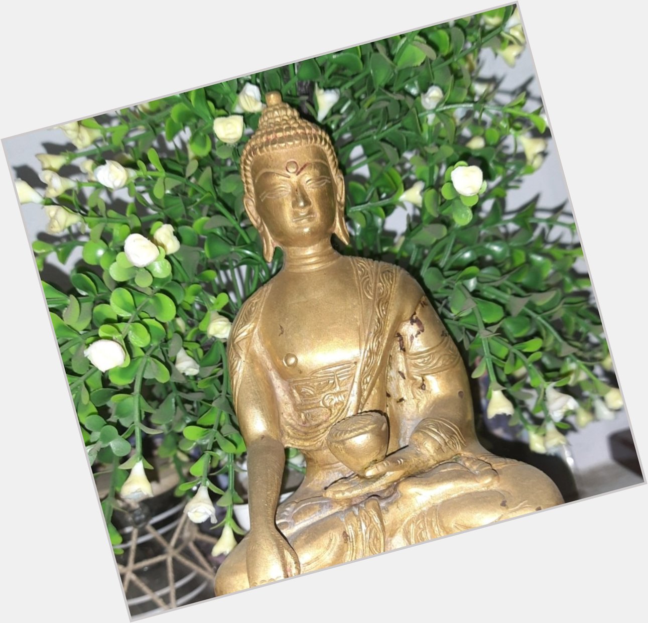 Happy Budhdha Purnima,Happy birthday anniversary to prince Siddhartha Gautam. 