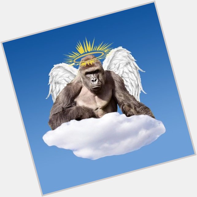 Happy heavenly birthday, Sweet Prince. 