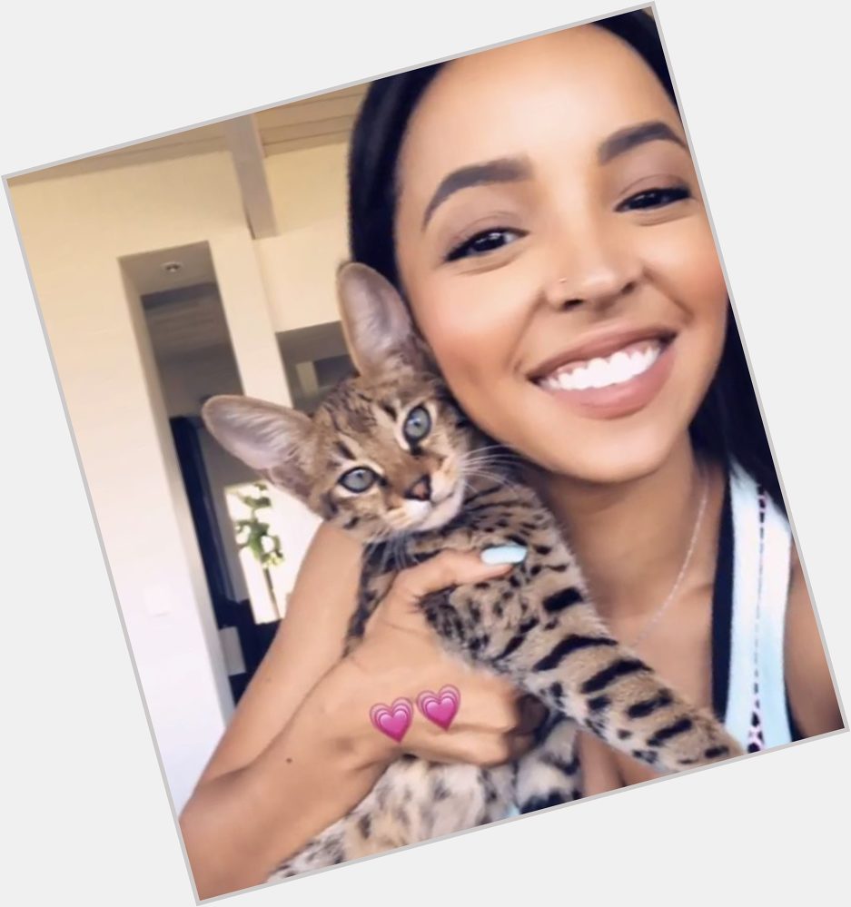 Happy 5th birthday to Tinashe\s iconic and beloved cat, Prince Junior (PJ). 